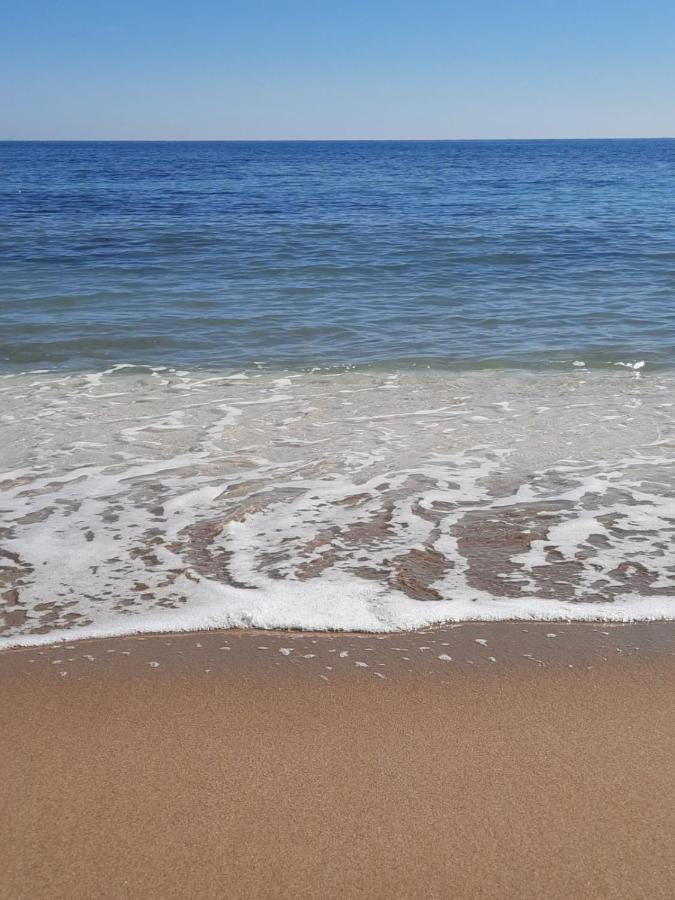 Студия На Белоснежном Пляже Los Locos Torrevieja Bagian luar foto