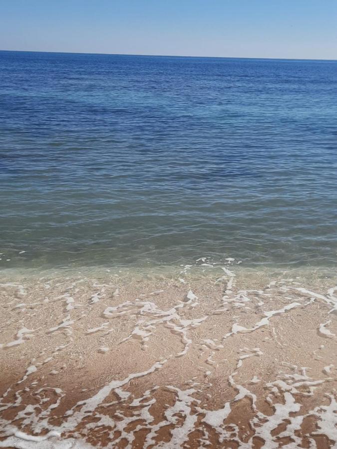 Студия На Белоснежном Пляже Los Locos Torrevieja Bagian luar foto